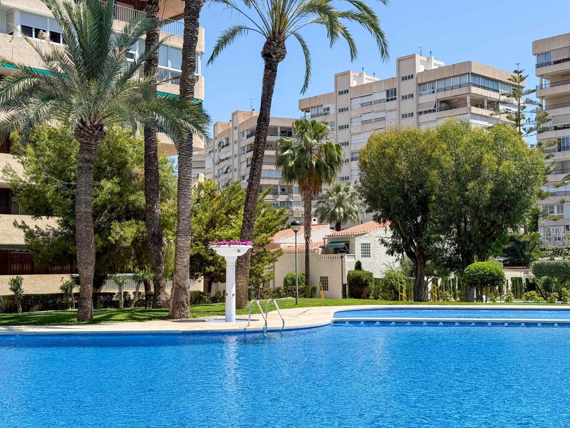 Encantador Y Coqueto Loft A 8 Min. De La Playa. Alicante Dış mekan fotoğraf